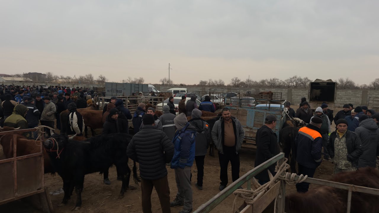 БЕРУНИЙ АБАЙ МОЛ БОЗОРИ 25 ФЕВРАЛ 2026