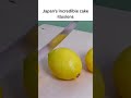 The Most Realistic Cakes in Japan #japan #kitchen #ilovegadgets #futuretech #inventiontech #viral