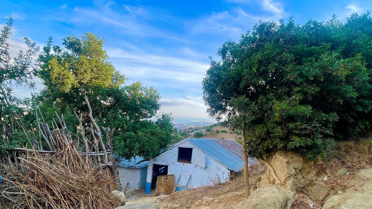 دار بلدية وغرسة غزالة ومفججة على الطريق 0703640826نواحي الخميس انجرة طنجة