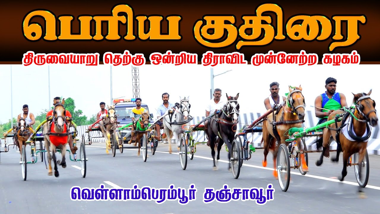 4பெரியகுதிரை வெள்ளாம்பெராம்பூர் (21.09.2025) பந்தயம் || Perai Raj Digital #horse