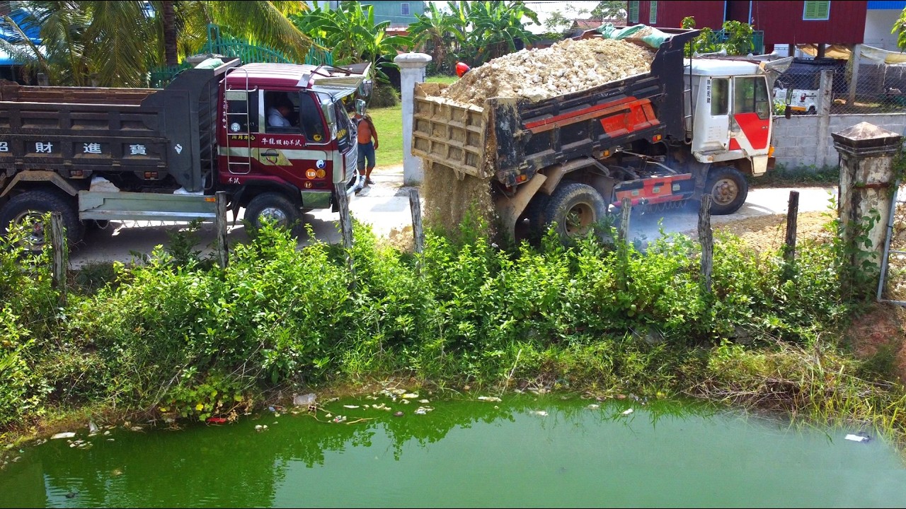 First Start Amazing PROJECT!! Filling Deep Pond In Flooded Area Use Strong Bulldozer & 5Ton Truck.