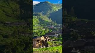 Swiss Nya Boyolali boyolali selo desa alam pesonaindonesia wisataboyolali seloboyolali