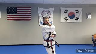 Intro to Tang Soo Do screenshot 2