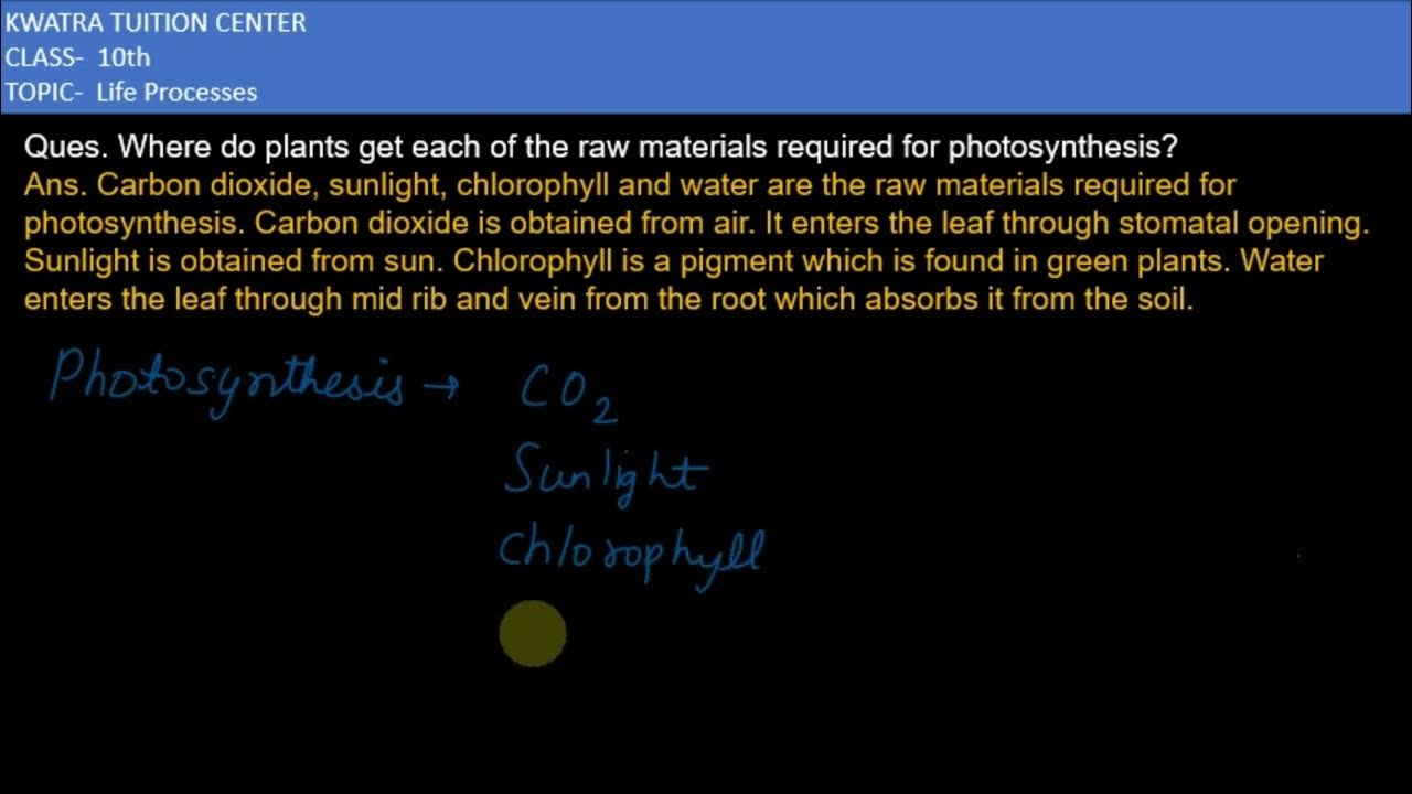 Q6. Where do plants get each of the raw materials required for