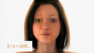 The story of the golden ratio 1 618  AMAZING FACTS