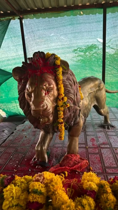 darshn of chotila temple of chamunda maa#chotila#chamunda maa#bhakti