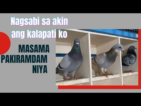 Video: Paano Malaman Kung May Mga Tiket Para Sa Isang Konsyerto