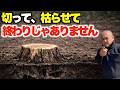 枯らした後、放置厳禁です