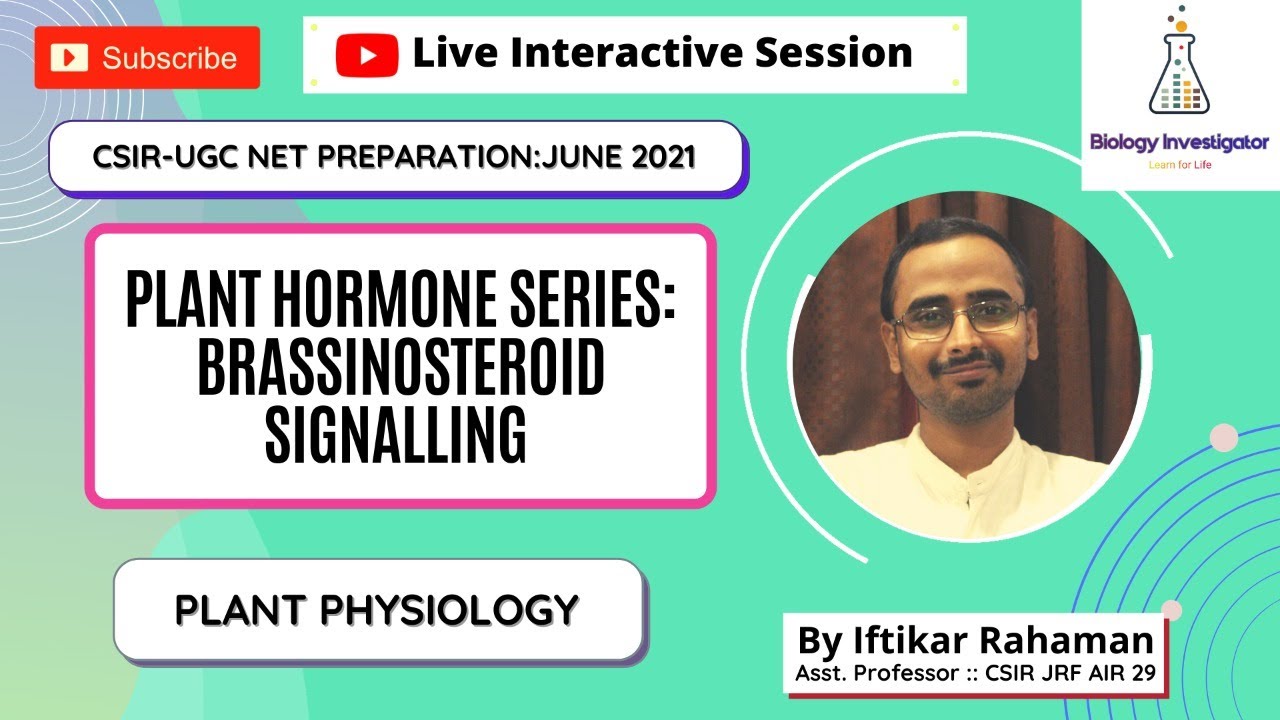 Plant Hormone series:  #Brassinosteroid #Signalling