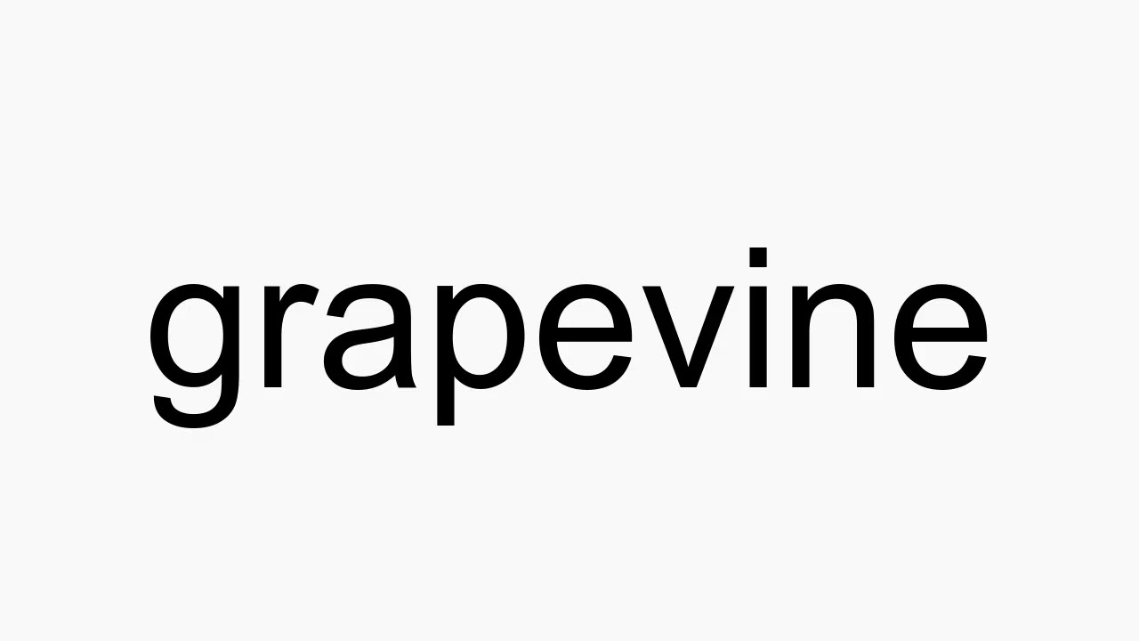 grapevine - Wiktionary, the free dictionary