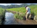 捕獲した生き物を自宅の巨大池に放流してみた