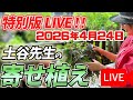 4/24寄せ植えライブ配信土谷先生