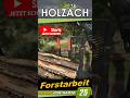 🌲 Forstarbeit in Holzach 🌲 25 🌲 #ls25 #fs25