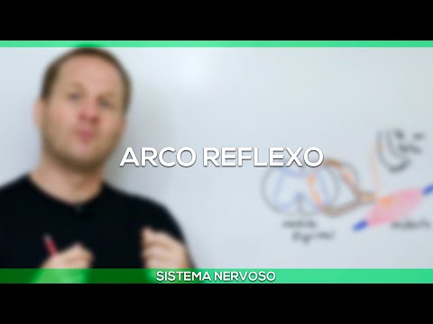 Arco reflexo