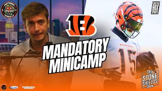 🚨Bengals Just Got SO MUCH News Ft. Joe Burrow, Charlie Jones, Zac Taylor & Mike Gesicki