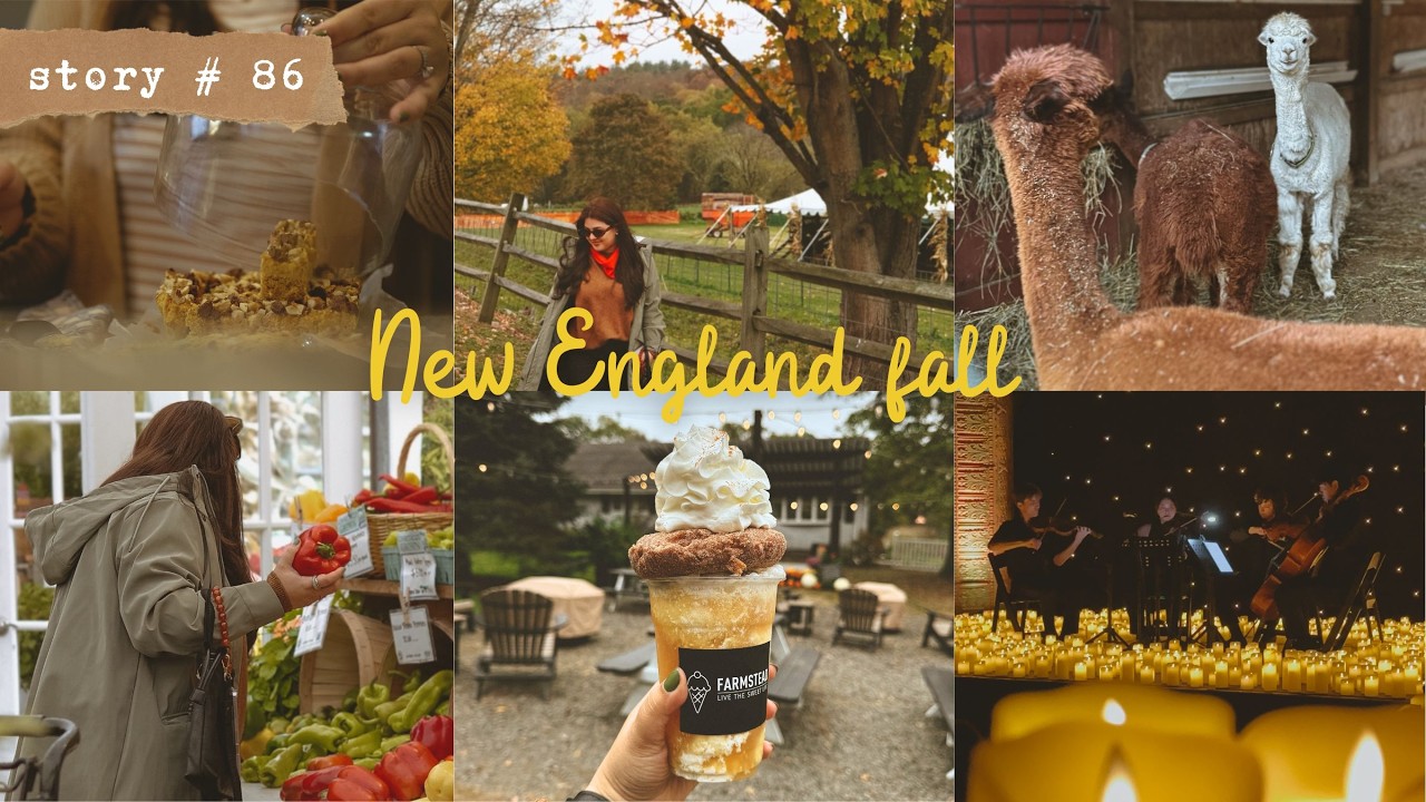 Ранняя осень в Новой Англии | Уютный октябрьский видеоблог о медленной жизни | Выпечка | Скрапбук...