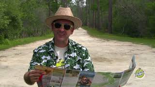 How To Forgotten Coast Like A Local S2 E1: Off the Beaten Path