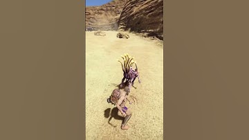 This Could Be Stupid STRONG In Coop Outward Definitive Edition - Short