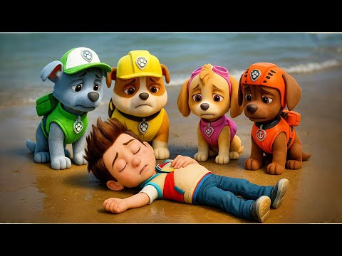 Skye Chase Rocky Rubble Vs Water Danger Paw Patrol Saves Ryder Paw Patrol Cartoon