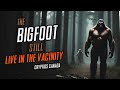 CC episode 531  THE BIGFOOT "STILL" LIVE IN THE VICINITY