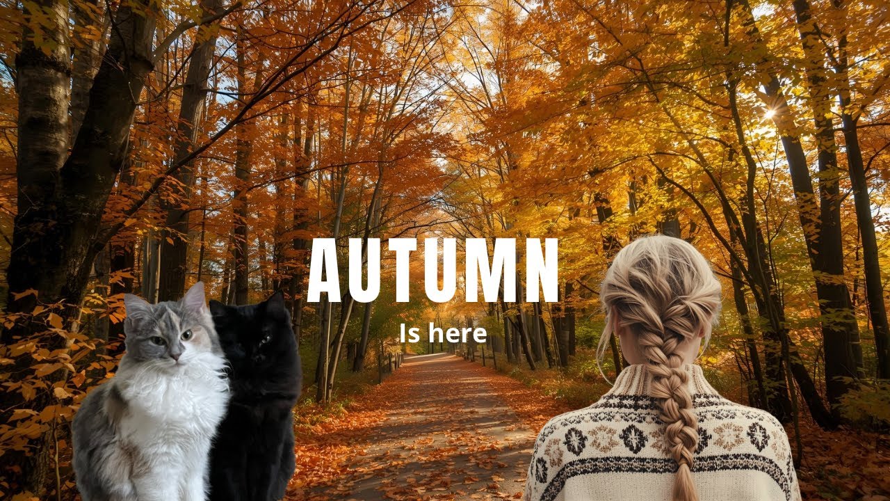Autumn in Sweden | Cozy Day with Cats, Cooking & Nature