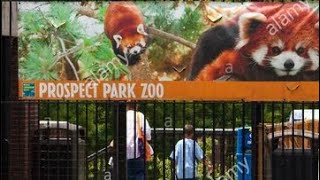 Let’s go TO The Zoo / FUNNY KIDS VS ZOO ANIMALS ARE WAY FUNNIER..