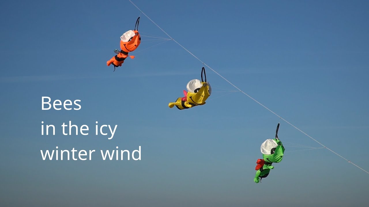 Bees flying in the icy winter wind