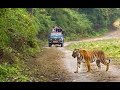 Manu Jim Corbett Nainital Trip || safari