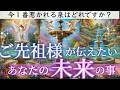 【目に止まった方…見逃さないで👀】ご先祖様が今伝えたい貴方の未来の事👼 オラクルカードリーディング👼スピリチュアル🦄🌟