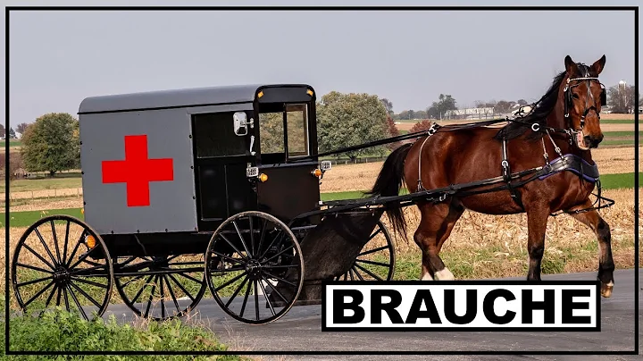 Braufe Among the Amish Live with Eldon Yoder