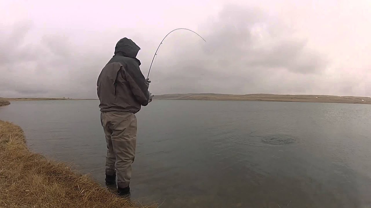 Fly Fishing the Blackfeet Res, 2015 pt 2 YouTube