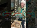 Poop 💩 and why we study it at the National Museum of Natural History