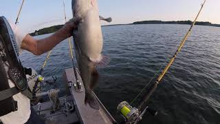 GOPR1491/Lake Norman/Suspended Blue Catfish/July 14, 2020