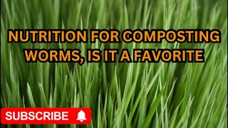 "Boosting Your Red Wiggler Worms' Nutritional Paradise: Growing Wheatgrass Like a Pro!"