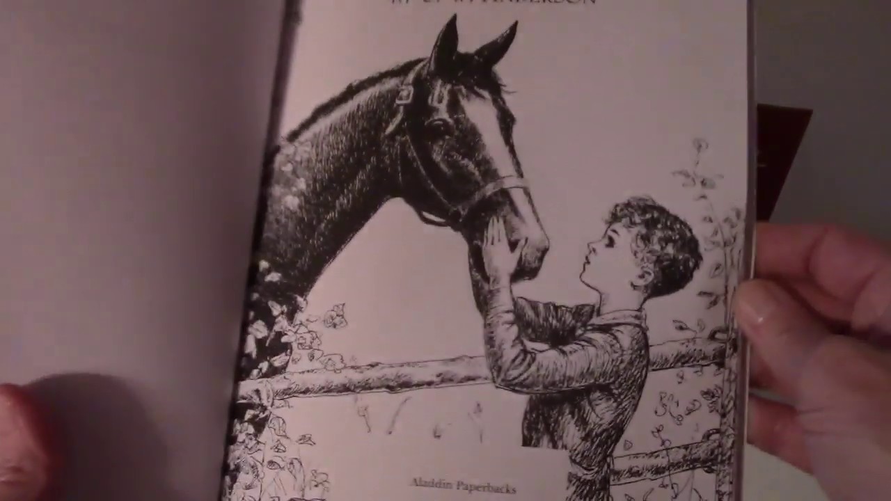 Billy and Blaze Books 1 to 3 by C.W. Anderson