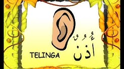 Nasyid Bahasa Arab 1  - Durasi: 2:05. 