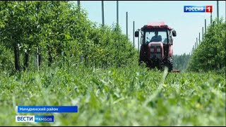 ООО «Сады Мичурина» выходят на первый урожай