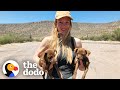 Filmmakers decide to rescue lost puppies while abroad  the dodo