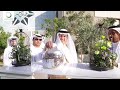 يوم السعادة في ديوا   