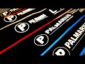 PALMARIUS P+ Series - Great All-around Fishing Rod