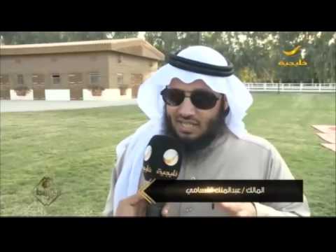أكثر من مليونين ونصف ريال إجمالي مبيعات مزاد إسطبلات الخالدية السنوي للخيل العربية الأصيلة