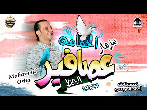 عصافير الحظ ومزمار الحمامه الجديد لاول مره من القشاش محمد اوشا بطلعات وغيارات بالشكل الجديد