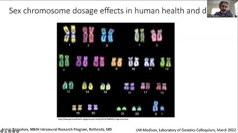 Armin Raznahan 03/02/2022