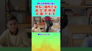 瞳孔は自律神経で動く