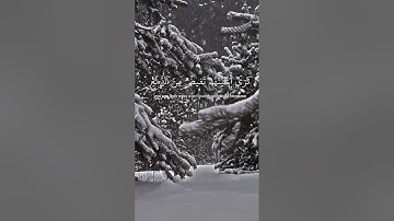 ما تيسر من سورة المائدة | الشيخ سعود الشريم 🎧