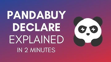 How To Declare On Pandabuy In 2024? (Simple Guide)