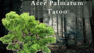 Unleashing The Beauty: Acer Palmatum Tattoo Japanese Maple