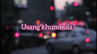 Do You Remember Me? [usang'khumbula?] | Gwijo Lyrics | Gumedegee