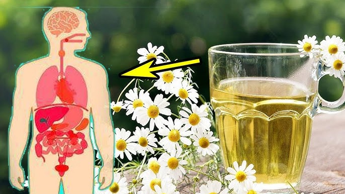 Barcha sperma foydalimi? Sem va Kat porno video