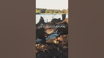 استمع🎧إلى تلاوة خاشعة🌿لسورة الإنسان بصوت الشيخ عبد الحميد الششتاوي📖| تلاوة تريح القلب #القرآن_الكريم